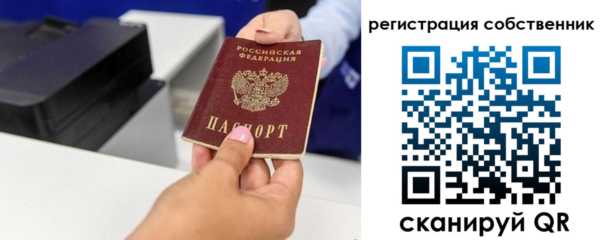 прописка для школы в Пикалёво